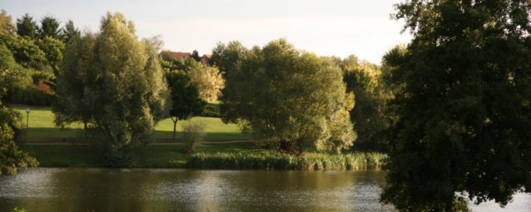 Opportunité de première installation - sud Bourgogne