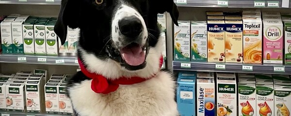 Pharmacien (F/H)