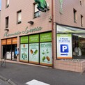 Pharmacien (F/H)