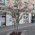 Préparateur (F/H)